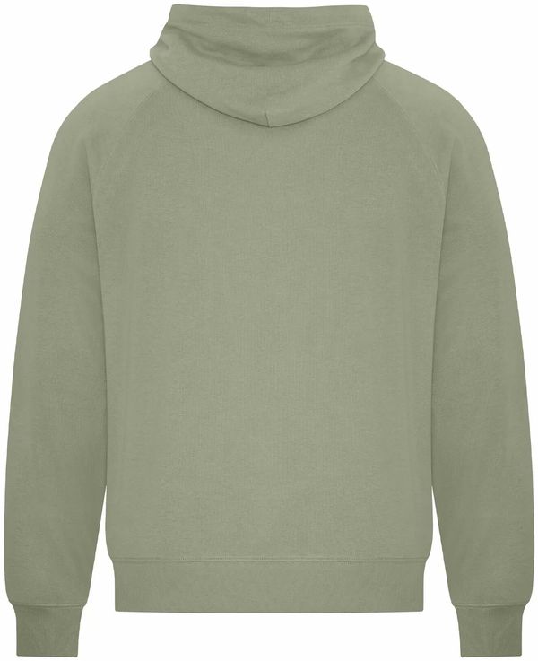 Am image of a Custom Koi Element CVC French Terry Hoodie in Thyme!