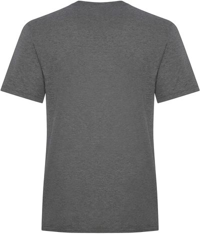 Am image of a Custom KOI Element Triblend Tee in Grey Frost!