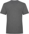 Am image of a Custom KOI Element Triblend Tee in Grey Frost!