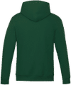 Am image of a Custom CSW Vault Adult Pullover Hoodie in Forest Green!