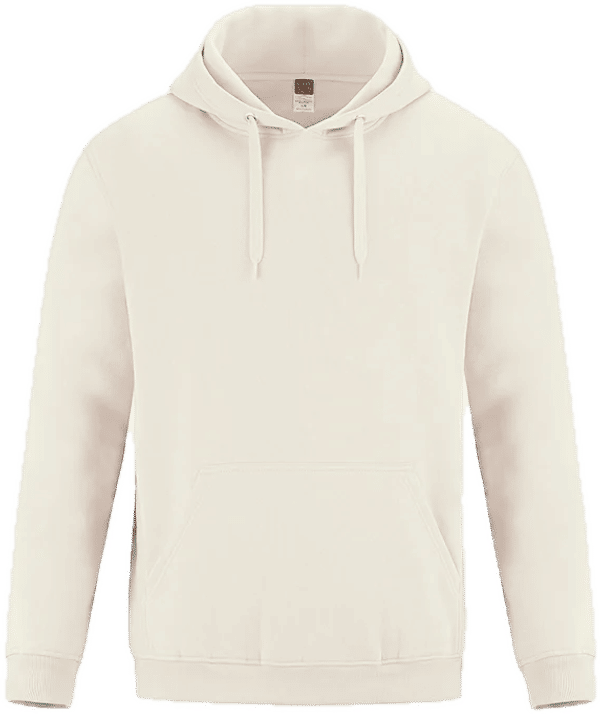 Am image of a Custom CSW Vault Adult Pullover Hoodie in Ivory!