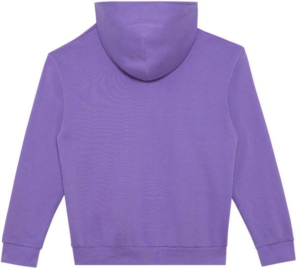 An image of a Custom Lane 7 Unisex Urban Pullover Hooded Sweatshirt in Tulip!