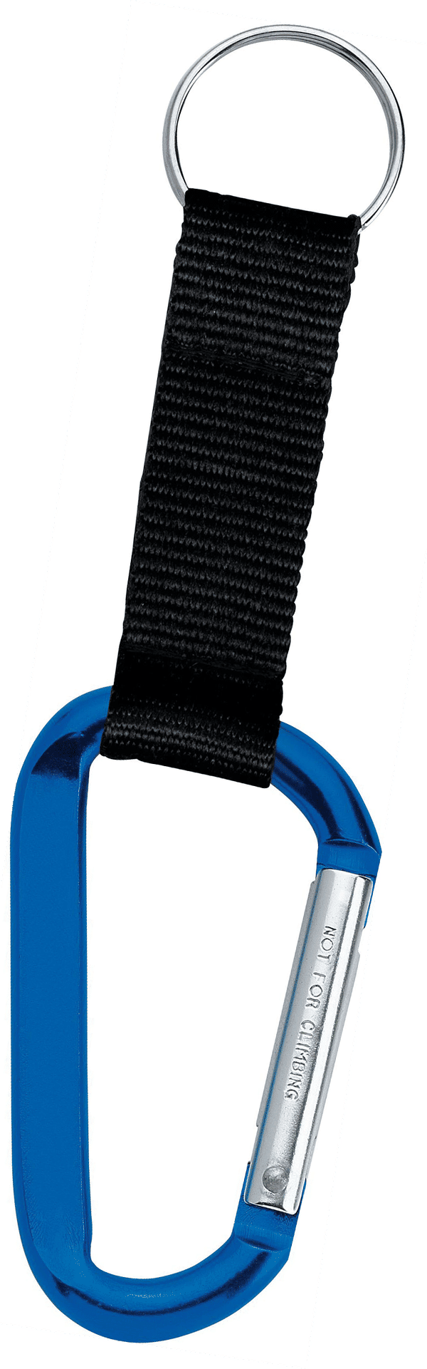Am image of a Custom Large Carabiner Key Ring in Blue!