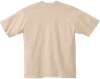 An image of a Custom LA Apparel Garment Dye Crew Neck in Beige!