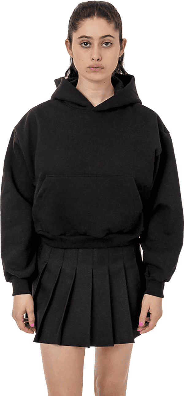 An image of a Custom LA Apparel Heavy Fleece Cropped Hoodie!