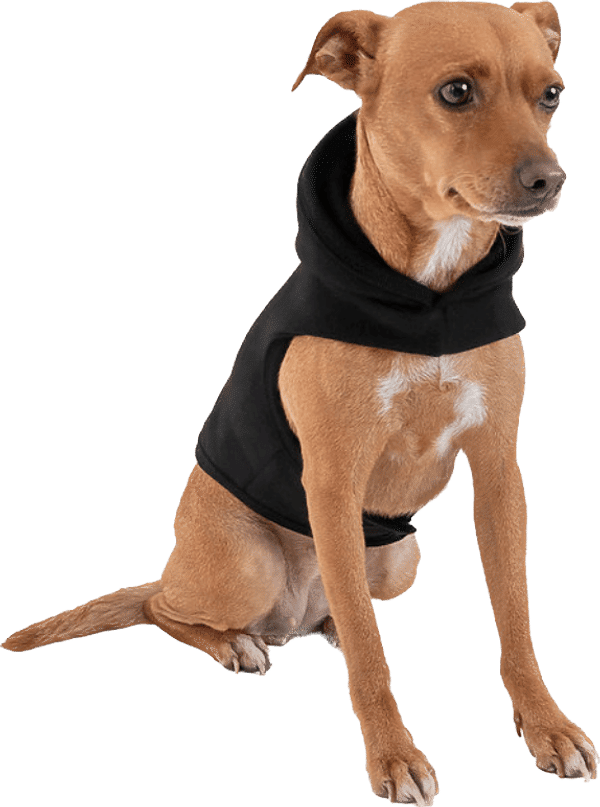 Am image of a Custom LA Apparel Heavy Fleece Dog Hooded Sweater in Black!