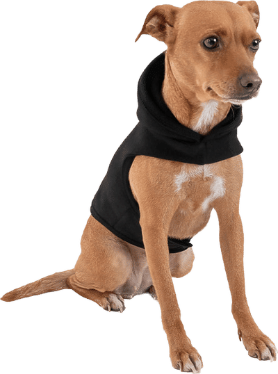 Am image of a Custom LA Apparel Heavy Fleece Dog Hooded Sweater in Black!