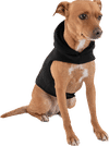 Am image of a Custom LA Apparel Heavy Fleece Dog Hooded Sweater in Black!