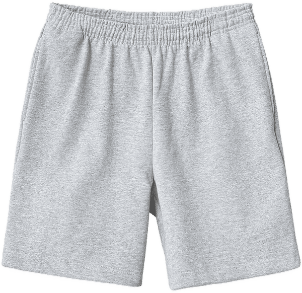 An image of a Custom LA Apparel Heavy Fleece Mid Short in Ash!