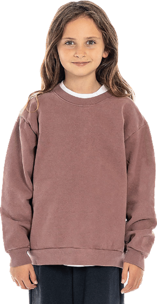 Am image of a Custom LA Apparel Kids Heavy Fleece Crewneck in Mauve!