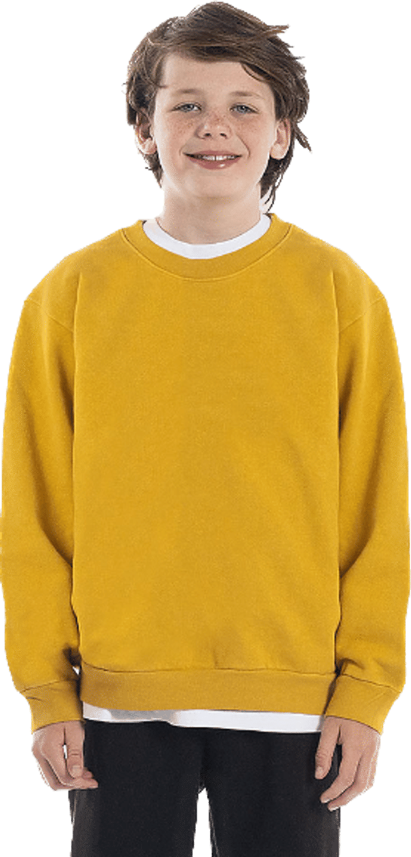 An image of a Custom LA Apparel Kids Heavy Fleece Crewneck!
