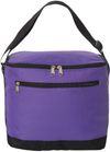 An image of a Custom Liberty Bags 12 Pack Cooler in Purple!