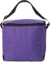 An image of a Custom Liberty Bags 12 Pack Cooler in Purple!