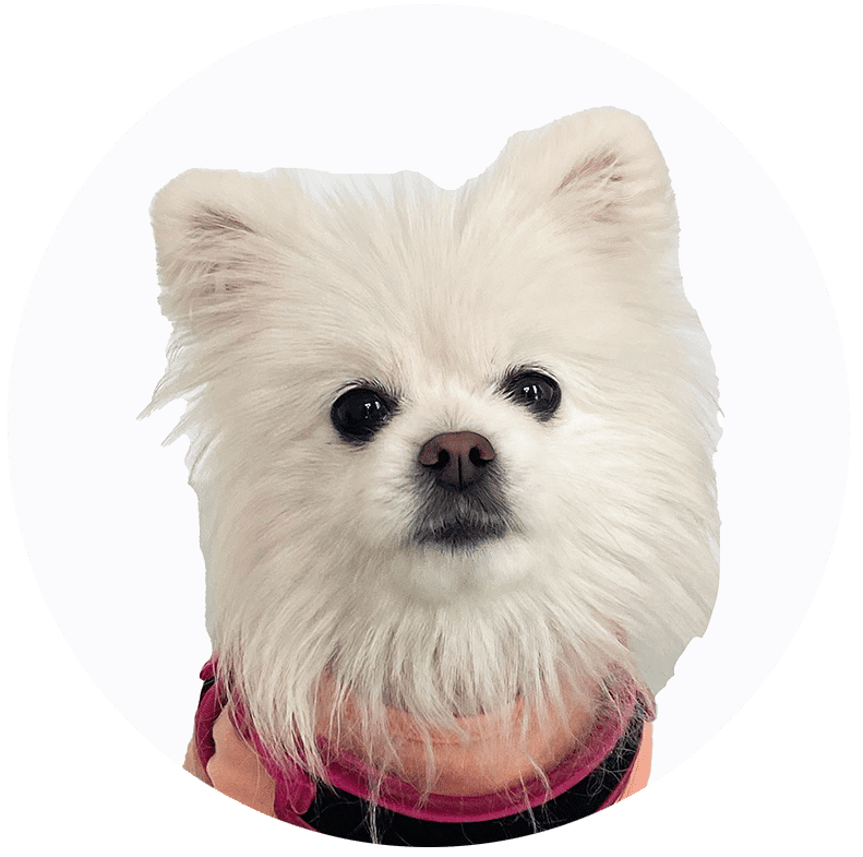 Luna | Shop Assistant