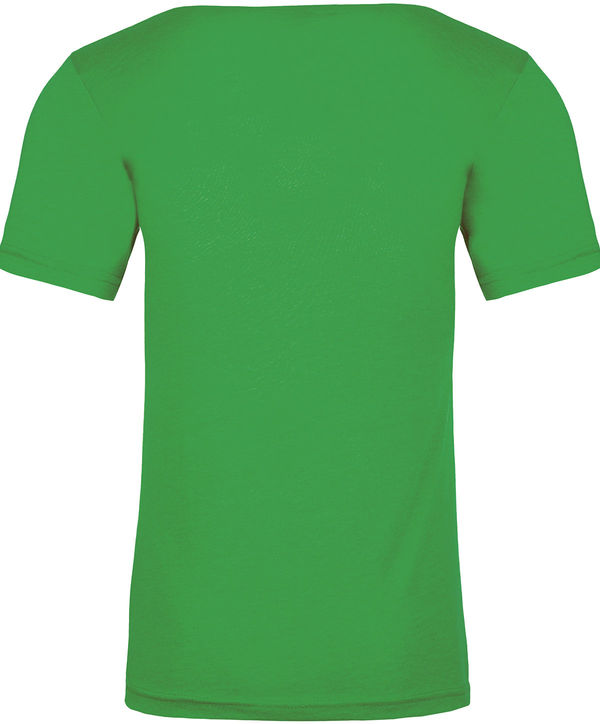 Am image of a Custom Next Level Unisex Triblend T Shirt in Envy!