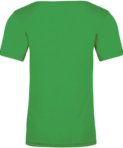 Am image of a Custom Next Level Unisex Triblend T Shirt in Envy!