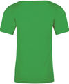 Am image of a Custom Next Level Unisex Triblend T Shirt in Envy!