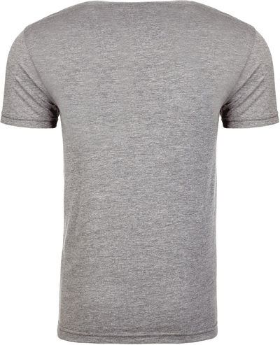 Am image of a Custom Next Level Unisex Triblend T Shirt in Premium Heather!
