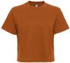Am image of a Custom Next Level Womens Heavyweight Boxy Shirt in Clay!