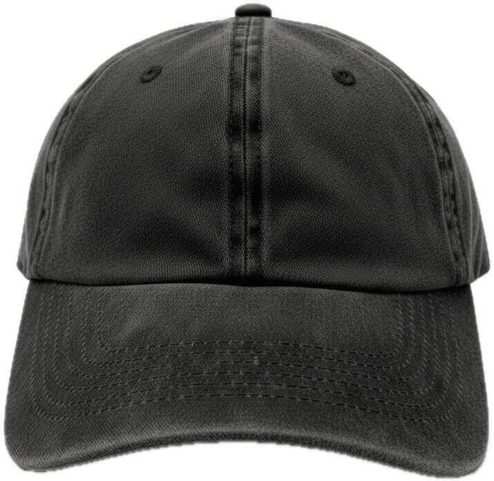 Nissi Pigment Dye Cap in Black