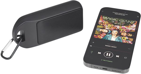 An image of a Custom Omni Outdoor Bluetooth Speaker!