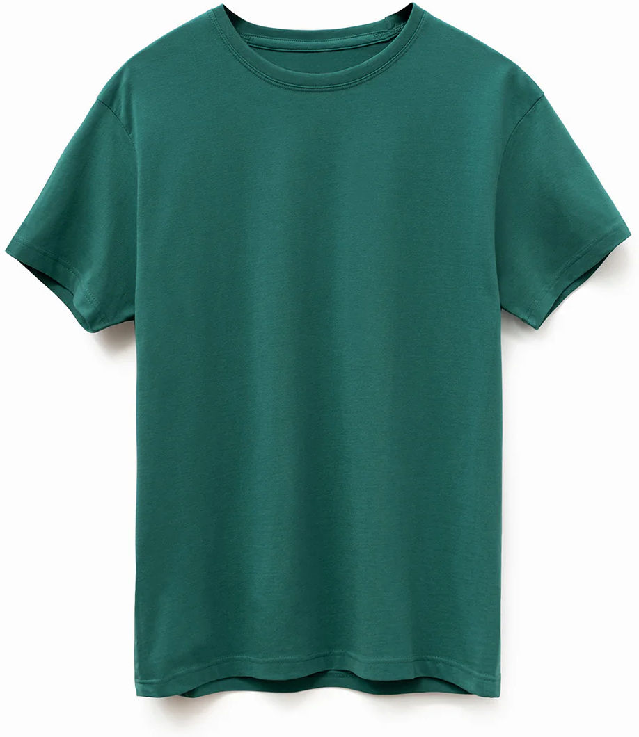 Original Favorites American Grown Supima® 100 Percent Cotton 6oz T Shirt in Bayberry