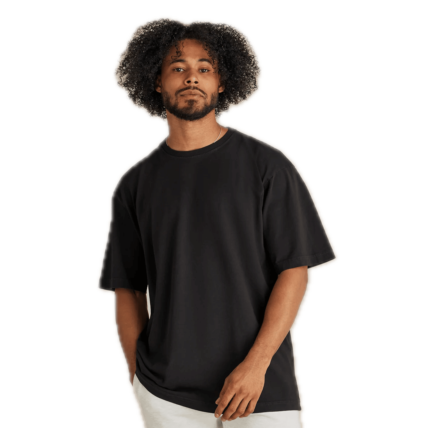 Original Favorites Heavyweight Organic Tee