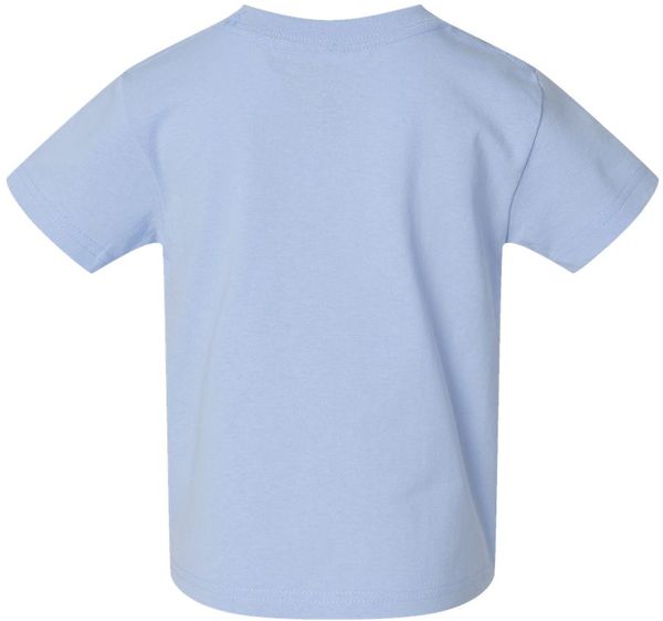 An image of a Custom Rabbit Skins Cotton Jersey T Shirt in Light Blue!