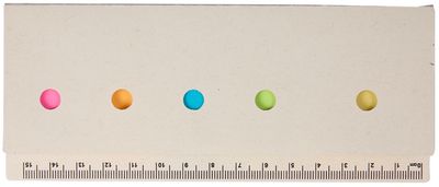 Am image of a Custom Recycled Milk Carton Sticky Notes and Ruler Pad in White!