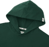 An image of a Custom Roots73 Canmore Eco Hoody!