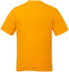 Am image of a Custom CX2 Coast Adult Performance Crewneck T Shirt in Gold!
