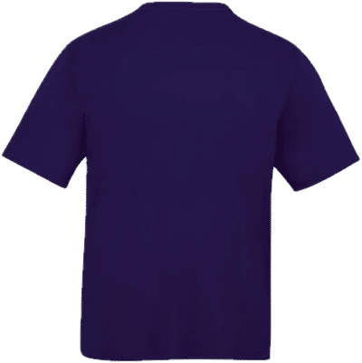 Am image of a Custom CX2 Coast Adult Performance Crewneck T Shirt in Purple!
