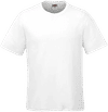Am image of a Custom CX2 Coast Adult Performance Crewneck T Shirt in White!
