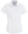 Am image of a Custom Biz Collection Ladies London Short Sleeve Shirt in White!