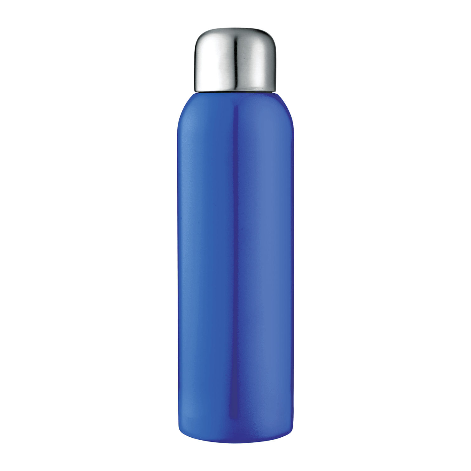 Guzzle 28oz Stainless Sports Bottle in Blue