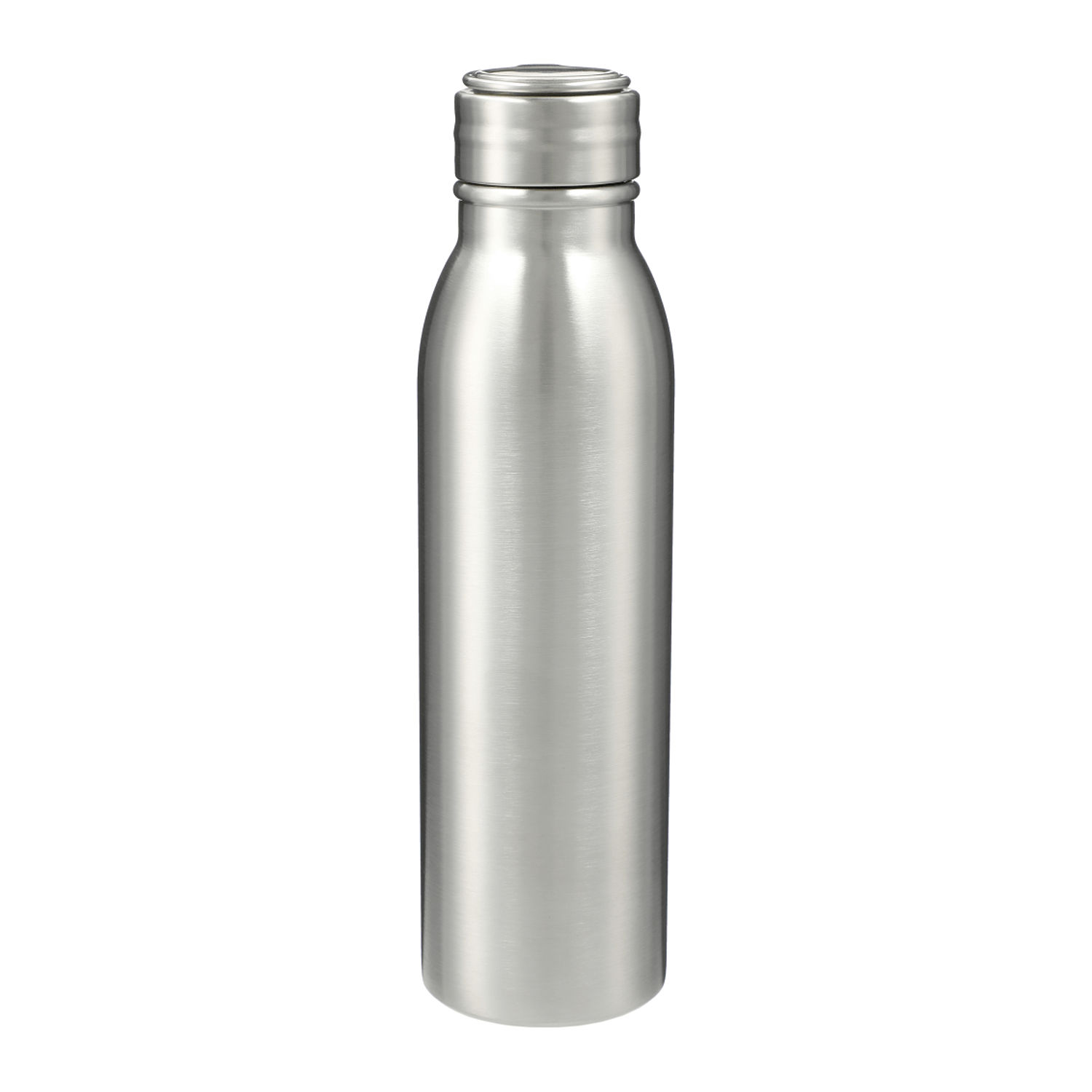 Vida 24oz Stainless Steel Bottle in Silver