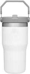 Am image of a Custom Stanley IceFlow Flip Straw Tumbler 20 oz in Polar!
