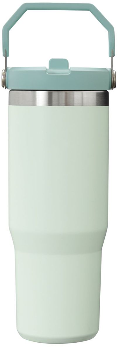 Am image of a Custom Stanley IceFlow Flip Straw Tumbler 30 oz in Mist!