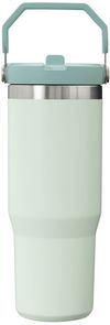 Am image of a Custom Stanley IceFlow Flip Straw Tumbler 30 oz in Mist!