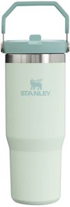 Am image of a Custom Stanley IceFlow Flip Straw Tumbler 30 oz in Mist!