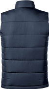 An image of a Custom Stormtech Mens Sierra Quilted Vest in Navy!