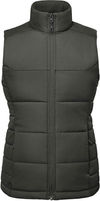An image of a Custom Stormtech Womens Sierra Quilted Vest in Granite!