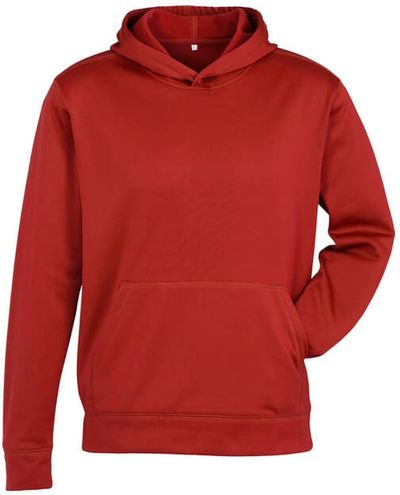 Am image of a Custom Biz Collection Kids Hype Pull On Hoodie in Red!