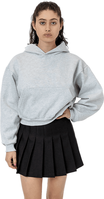 Am image of a Custom LA Apparel Heavy Fleece Cropped Hoodie in Ash!