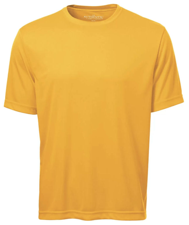 ATC Pro Team Short Sleeve Tee in Gold
