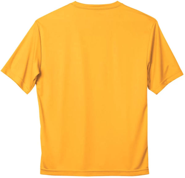 Am image of a Custom ATC Pro Team Short Sleeve Tee in Gold!