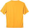 Am image of a Custom ATC Pro Team Short Sleeve Tee in Gold!