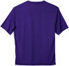 Am image of a Custom ATC Pro Team Short Sleeve Tee in Purple!