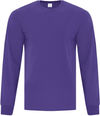 Am image of a Custom ATC EVERYDAY COTTON LONG SLEEVE TEE in Purple!