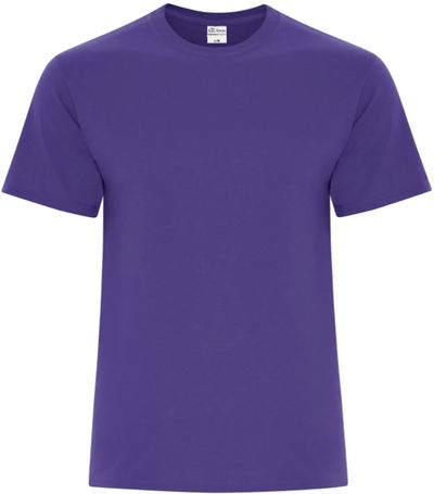 Am image of a Custom ATC Everyday Cotton Blend Tee in Purple!